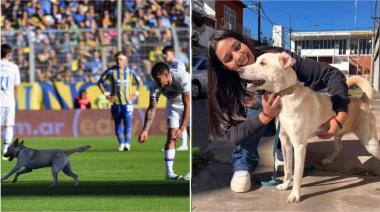 “Coco”, interrumpió el partido de Rosario Central y se volvió viral