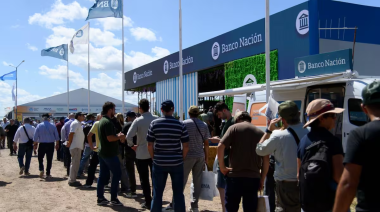 Impulsan una ley para limitar a 30 minutos la espera en bancos y empresas públicas