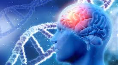 Estos son los tres derechos de las personas con epilepsia que más se vulneran en Argentina