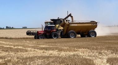 Bajó la venta de tractores y cosechadoras, subió un poco la de sembradoras