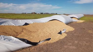 Buscan incorporar la figura de 'vandalismo rural' al Código Penal