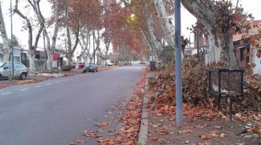 Las hojas y el viento, y el frío municipal, sucundúm, sucundúm