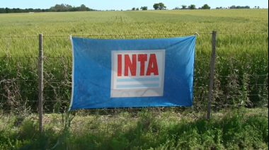 INTA: una cautelar frenó el cierre de una estación experimental bonaerense