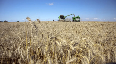 Oficializan la reducción de las retenciones para el agro y los biocombustibles
