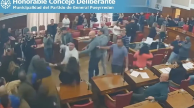 Una reunión en el Concejo Deliberante de Mar del Plata terminó a las piñas