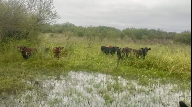 Las lluvias se concentrarán sobre el norte de la región agrícola durante los próximos días