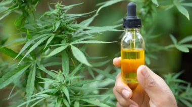 Provincia creó un Consejo Consultivo Asesor sobre cannabis medicinal