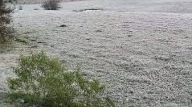 El frío pegó fuerte en Junín: La ciudad, entre la más frías de Argentina