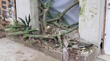 Una persecución terminó con un patrullero y una moto destruyendo el frente de un local