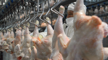 El pollo hace historia en la mesa de los argentinos: ya supera a la carne vacuna en consumo
