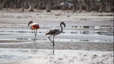 La Provincia lanzó la temporada de invierno con promociones, termas, fiestas populares y turismo de naturaleza