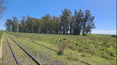Conmoción en Pergamino por el asesinato de un joven en el paraje Juan Pujol