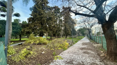 Conmoción en La Plata por un viernes con cinco suicidios en menos de 24 horas