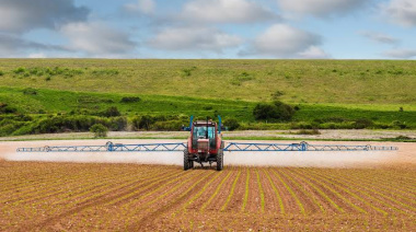 Fumigaciones: cuando el eufemismo minimiza el problema