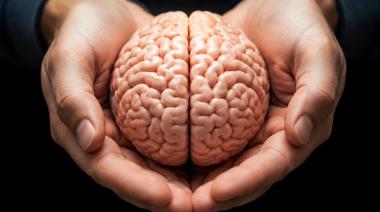 Las edades del cerebro