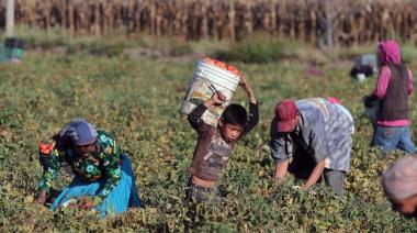 Trata de personas en el campo: detectaron 750 trabajadores en situación de explotación
