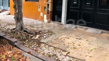 La Justicia definió quién debe indemnizar a una mujer que cayó en una vereda rota por un árbol