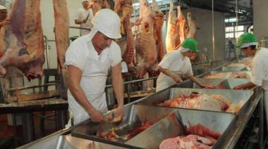 Producción de carne vacuna: crece el peso promedio y baja la faena