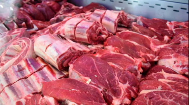 El consumo de carne cayó casi 10% interanual en agosto y se mantiene en mínimos históricos