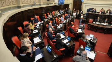El Senado bonaerense aprobó la adhesión para garantizar una atención sanitaria segura