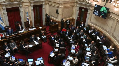 Triunfo del Gobierno en el Senado: Convirtieron en ley la inocencia Fiscal II