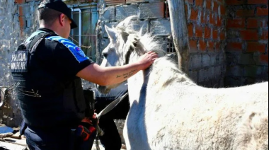 Robaban caballos en Pilar y los llevaban a una red clandestina de faena: ocho detenidos