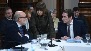 Biocombustibles: las pymes fueron mayoría y Patricia Bullrich suspendió la sesión