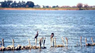 Aportan 300 plantas nativas para restaurar la laguna El Carpincho en Junín