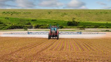 Fumigaciones: cuando el eufemismo minimiza el problema