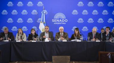 El gobierno consiguió dictamen en el Senado para eliminar el subsidio por zona fría