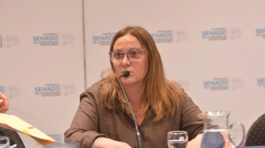 Senado bonaerense: dictamen unánime para declarar de interés la lactancia materna
