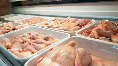 Crisis: el consumo de pollo superó al de carne vacuna por primera vez en la historia