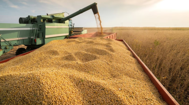 El sector agroexportador aportó US$ 3.228 millones al mercado financiero en septiembre