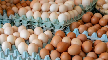Con casi 400 huevos por persona al año, Argentina lidera el consumo mundial