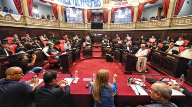 El Senado y la guerra de falacias