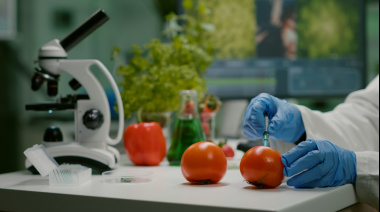 Ciencia y educación pública para garantizar una alimentación saludable y nutritiva