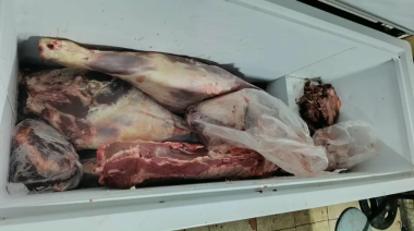 Villarino: Hallaron casi 600 kilos de carne sin controles sanitarios en dos allanamientos