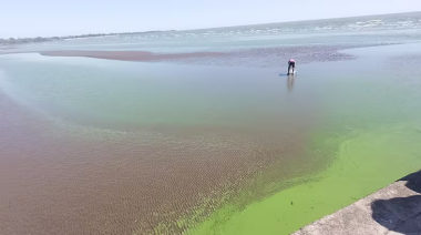 Estudian el impacto de El Niño en las cianobacterias de las lagunas bonaerenses