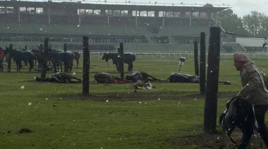 Cayó un rayo en el Jockey Club de San Isidro y mató a cuatro caballos de polo
