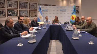 Arata, Petrecca y una reunión en el Senado con controversias y disputas