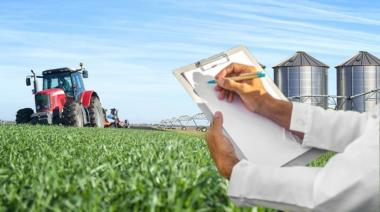 Más allá del rinde: cómo las empresas B redefinen el ADN del agronegocio