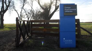 Kermés en Las Magnolias: un día de campo, educación y cultura familiar en Junín