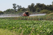 Abuso de agroquímicos: por nuestras “calles saludables” avanza el glifosato