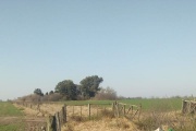 La gestión Petrecca y su desidia con los venenos agrícolas