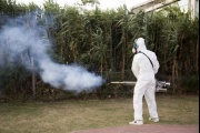Los casos de dengue suman 947 en la provincia y hay brote en 29 municipios