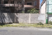 Cuando el “de la motoguadaña” lee SEMANARIO