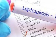 Dos casos fatales de leptospirosis en Córdoba