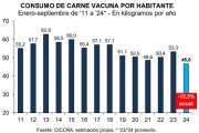 El precio de la carne se planchó, pero el consumo sigue cayendo