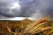 ¿Cómo estará el clima en los meses de mayo, junio y julio en los distritos bonaerenses?