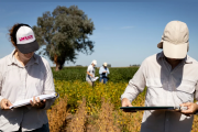 El recorte en el Inase amenaza con paralizar un área clave del agro y ya hay alerta entre sus empleados